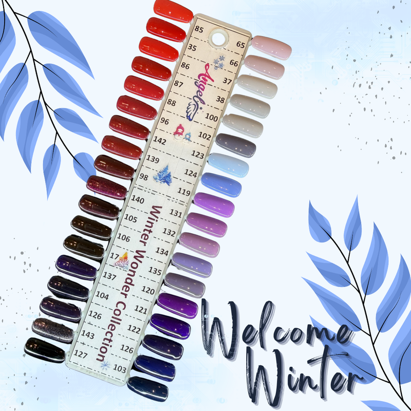 Angel Winter Collection Collection 36 Colors Gel Duo