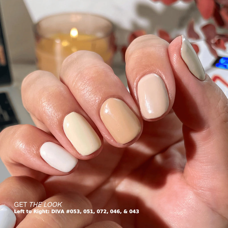 DIVA Collection #2 Frosted Chai  (36 duo colors)