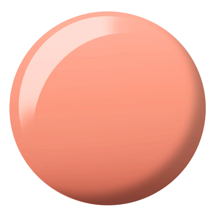 DIVA Duo DV168 Tangy Apricot