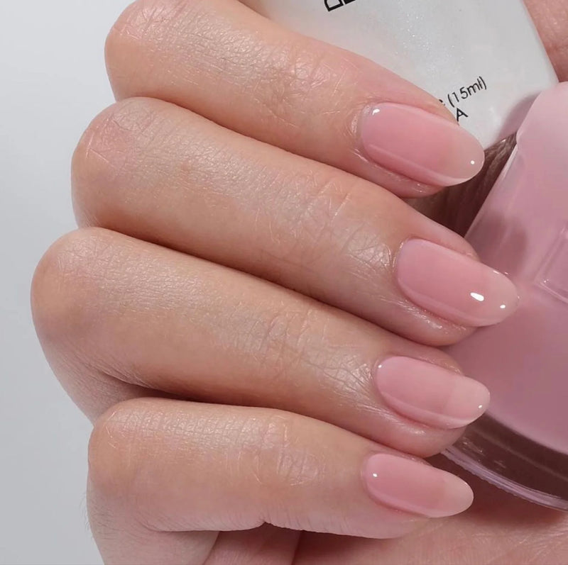 DND13 Collection #13 Sheer (Full Set 36 Colors #856 - #892)