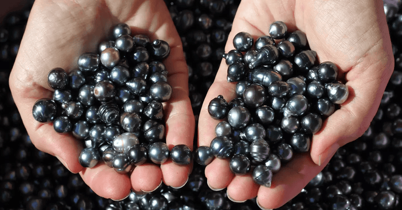 Dream Black Pearl Mini Pack Capsule Kit - Angelina Nail Supply NYC