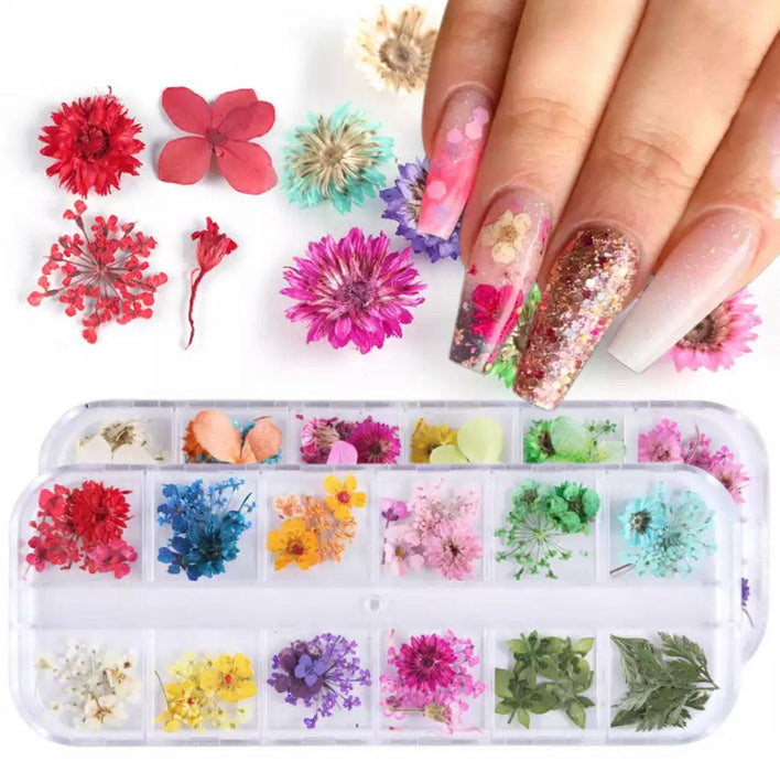 Dry Flower #F01 - Angelina Nail Supply NYC