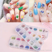 Dry flower #F08 - Angelina Nail Supply NYC