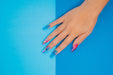 Perception Translucent Gel Complete Set - 01->12 | Perfect Match - Angelina Nail Supply NYC