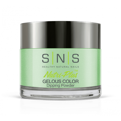 SNS Dip Powder CC25 Helicopter Skiing - Angelina Nail Supply NYC