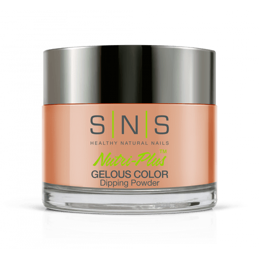 SNS Dip Powder IS21 Fall Sigh - Angelina Nail Supply NYC