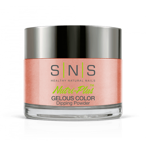 SNS Dip Powder N16/NC16 Patron Of The Arts - Angelina Nail Supply NYC