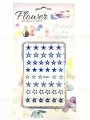 Sticker Stars - Angelina Nail Supply NYC